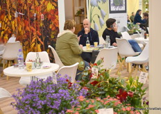 Asaf Cohen of Cohen talking with a visitor.